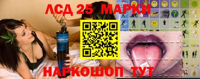 Альфа ПВП Обь