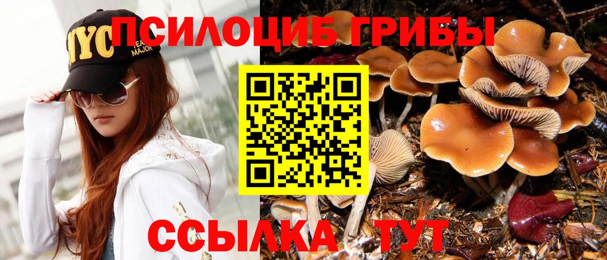 Галлюциногенные грибы MAGIC MUSHROOMS Солнечногорск