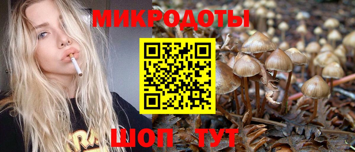 Галлюциногенные грибы Cubensis  Вход с VPN  Солнечногорск 
